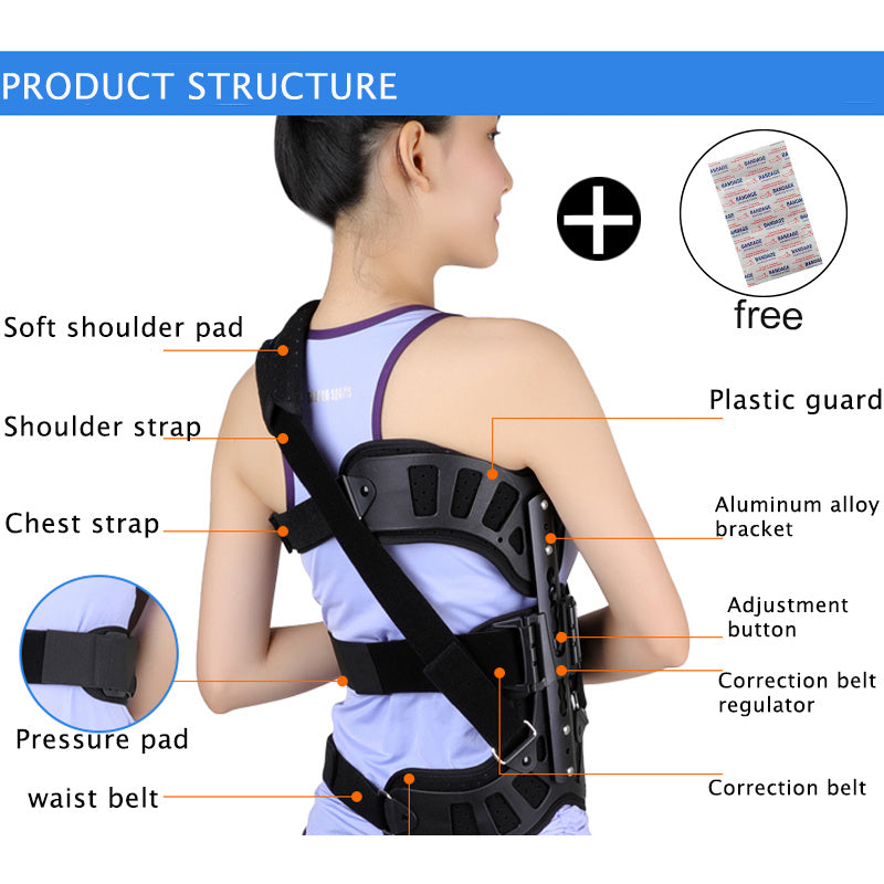 Lumbar Back Brace